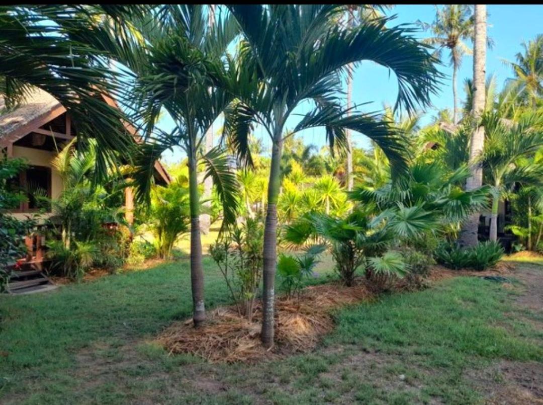 גילי טרוונגן Rumah Sunyi מראה חיצוני תמונה